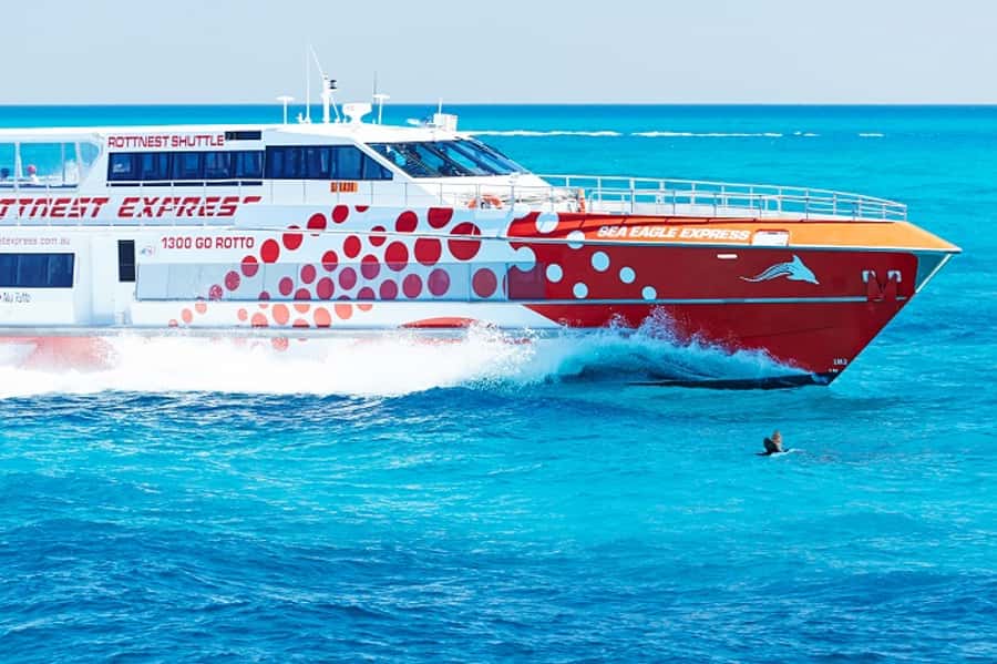 From Fremantle: Rottnest Island Ferry & Bus Day Tour - The 90-minute Discovery Coach Tour: efficient island orientation