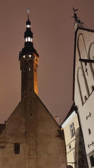 From Helsinki: Guided Day Trip to Tallinn by Ferry & VIP Car - Languages, group size, and what that means for your day