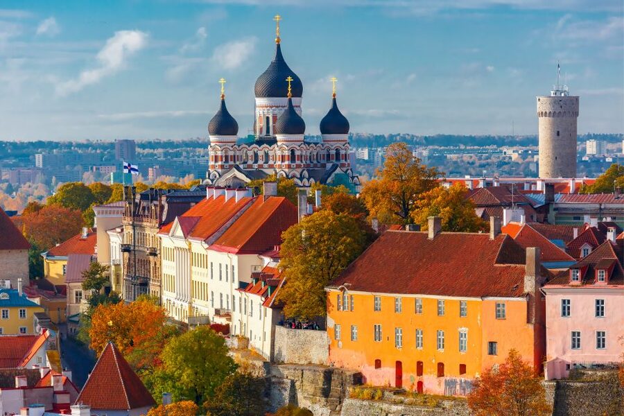 From Helsinki: Tallinn Guided Full-Day Tour by Ferry - Arriving in Tallinn: Where the Walk Starts