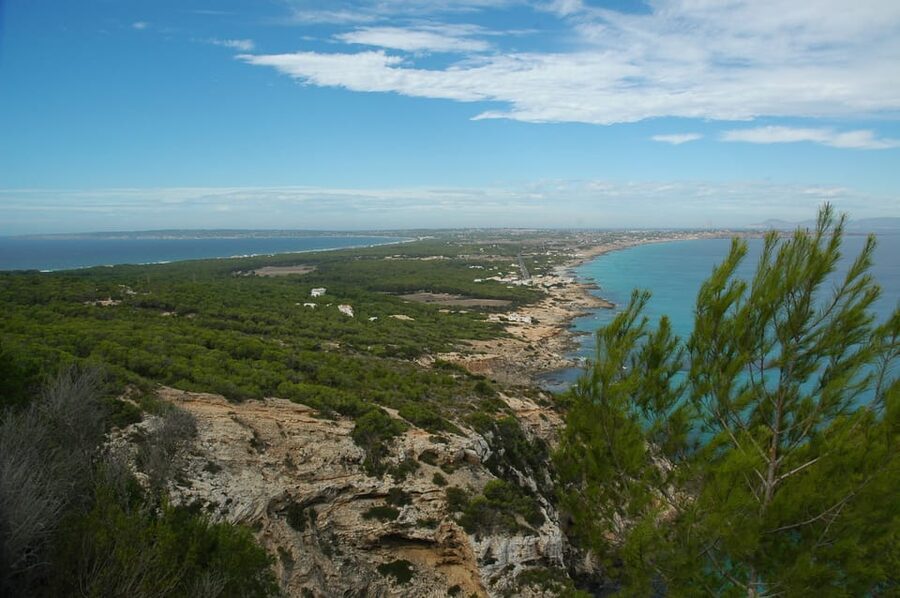 From Ibiza: Ferry and Guided Bus Excursion in Formentera - Key Highlights Worth Your Attention