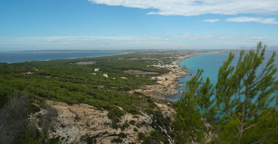 From Ibiza: Ferry and Guided Bus Excursion in Formentera - San Francisco Javier: The Island Capital Stop That Sets the Scene