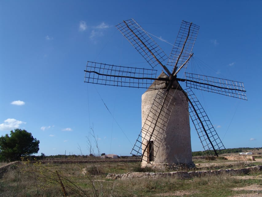 From Ibiza: Ferry and Guided Bus Excursion in Formentera - Las Salinas Salt Flats: The Distinct Formentera Look