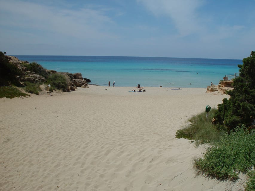 From Ibiza: Ferry and Guided Bus Excursion in Formentera - Group Size and Guide Assignments: What to Expect Without Overthinking It