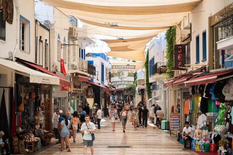 From Kos: Bodrum Day Trip by Ferry with Transfer - Arrival in Bodrum: What 6 Hours Looks Like on the Ground