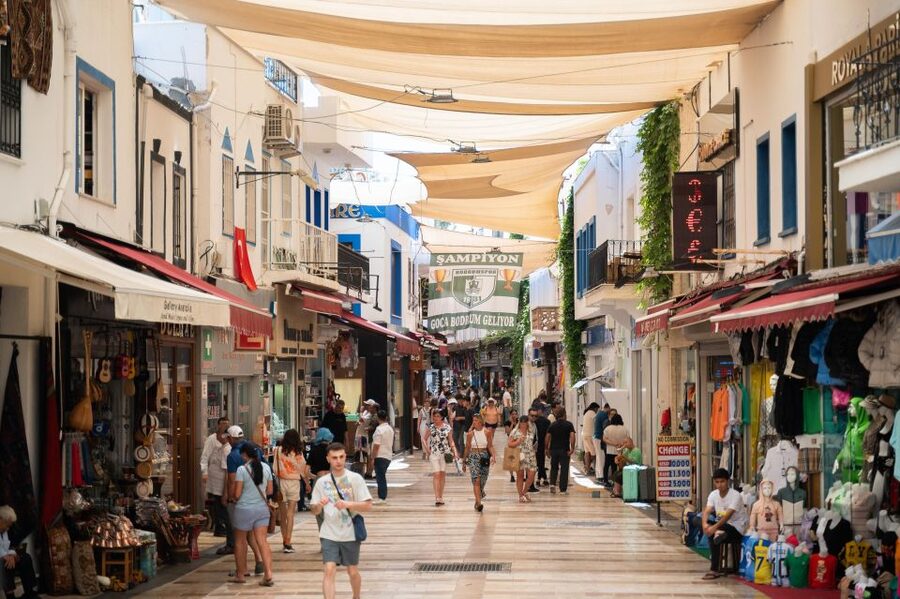 From Kos: Bodrum Day Trip by Ferry with Transfer - Value and Price: Is $62 a Good Deal for This Day Trip?
