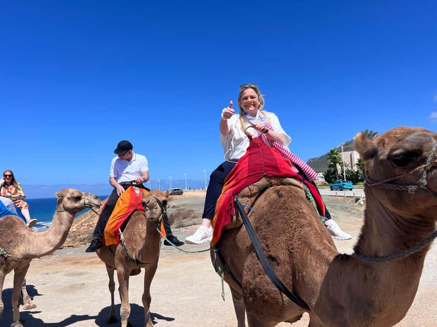 From Malaga: Tangier Day Trip with Ferry, Camel & Souks - Who this Tangier day trip suits best