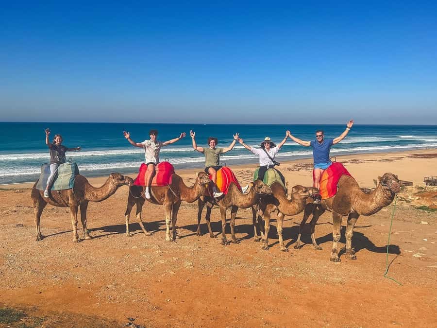 From Marbella: Tangier Day Trip with Ferry, Camel & Souks - Guide quality makes or breaks days like this