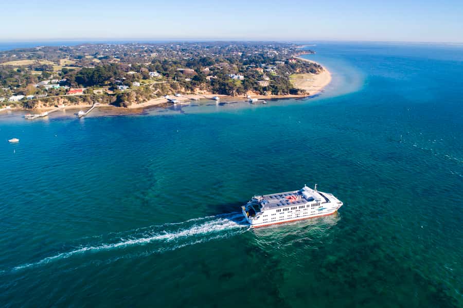 From Melbourne: Bay Sightseeing and Ferry Ride with Lunch - Narana Aboriginal Cultural Centre: art and animal encounters