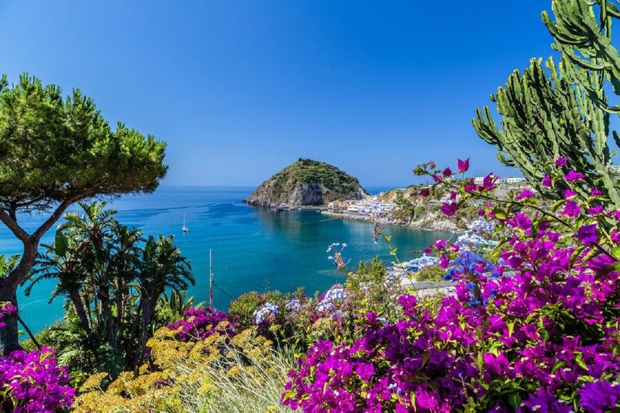 From Naples: Ischia Day Trip with Ferry Tickets and Lunch - Naples to Ischia: starting smart at Molo Beverello