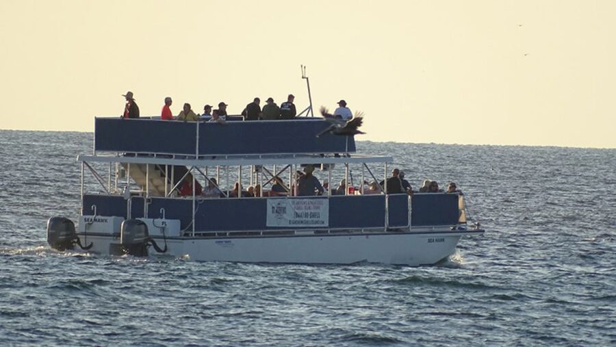 From Panama City, FL: Shell Island Ferry - Who This Shell Island Ferry Is Best For