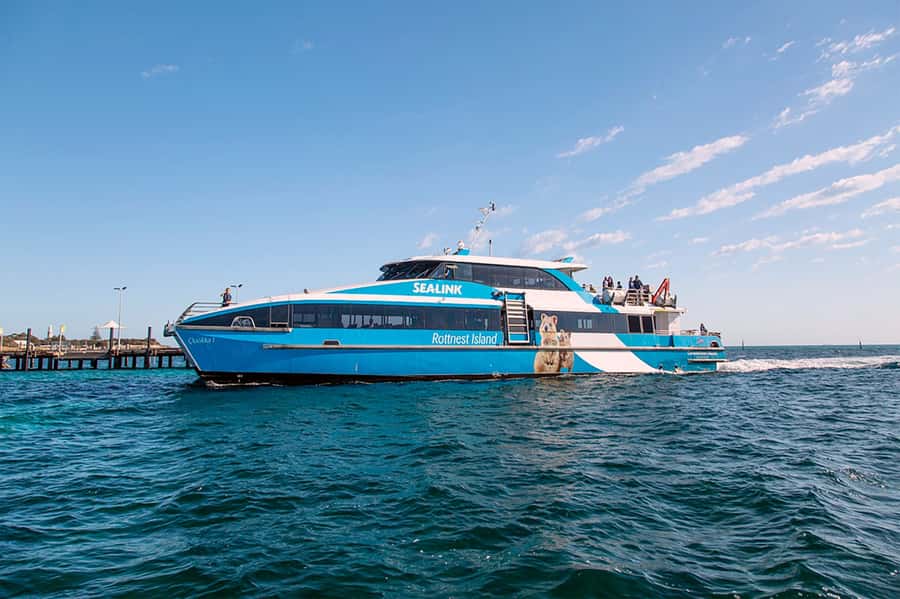 From Perth or Fremantle: Rottnest Island Ferry and Bus Tour - Small Logistics That Can Make or Break Your Day
