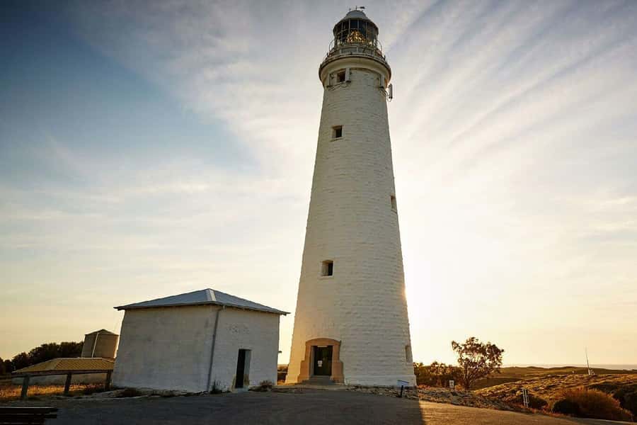 From Perth or Fremantle: Rottnest Island Ferry and Bus Tour - Price and Value: Is $99 Worth It?