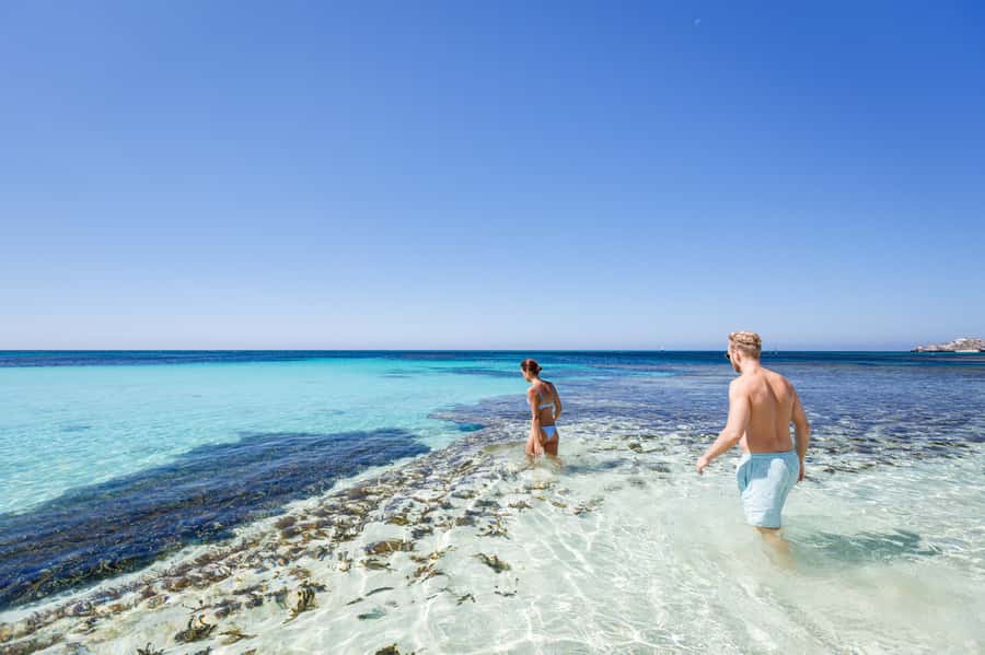 From Perth: Rottnest Island Ferry & Bus Day Tour - Key highlights at a glance