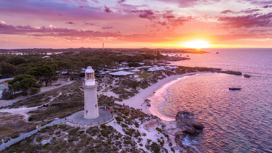 From Perth: Rottnest Island Ferry & Bus Day Tour - Thomson Bay to the coach: why the 90-minute loop is the smart use of time