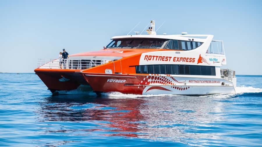 From Perth: Rottnest Island Ferry & Bus Day Tour - Booking smart: how to make the day go smoothly