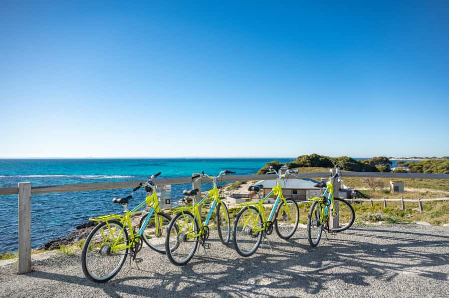 From Perth: Rottnest Island Full-Day Bike and Ferry Trip - Price and value: what $84 really buys you