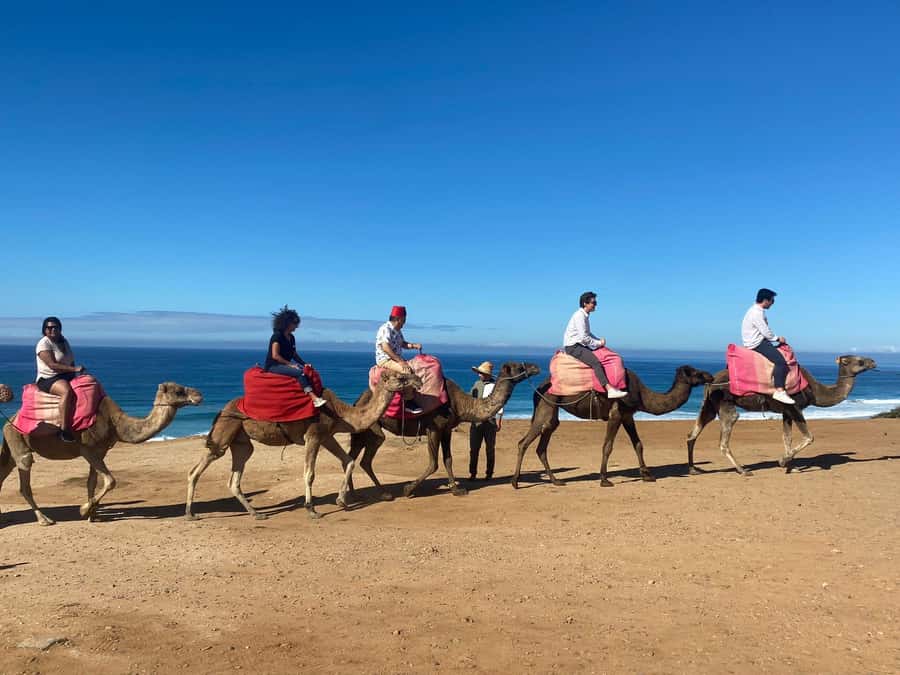 From Seville: 2, 3, or 4-Day Morocco Trip with Ferry & Guide - Tangier guided day: Kasbah, Medina souks, and Hercules Caves