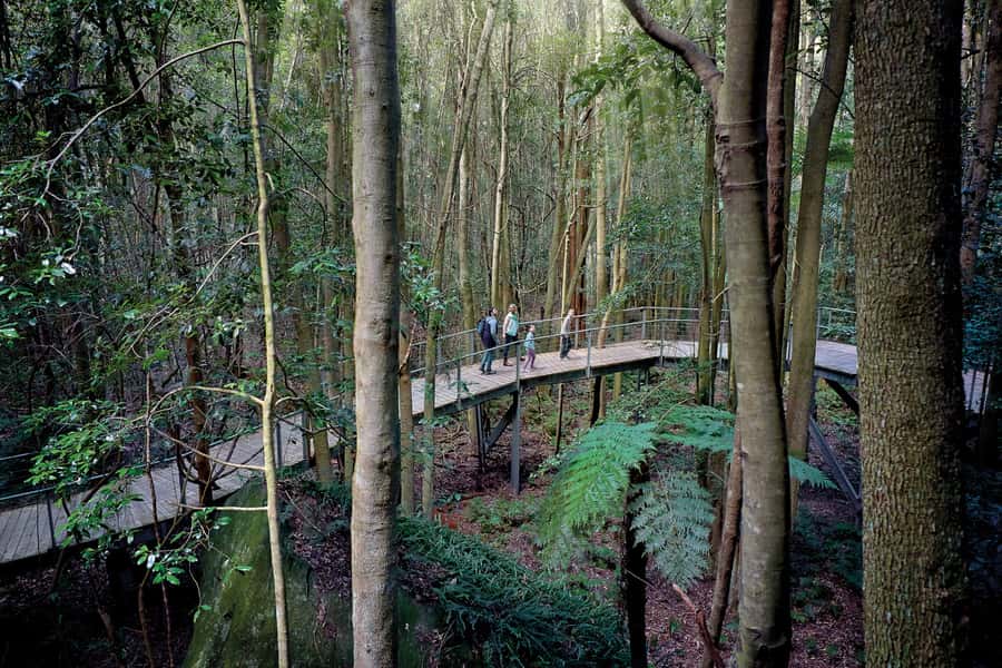 From Sydney: Blue Mountains, Scenic World, Zoo, & Ferry Ride - A Full-Day Blue Mountains Plan That Actually Fits Together