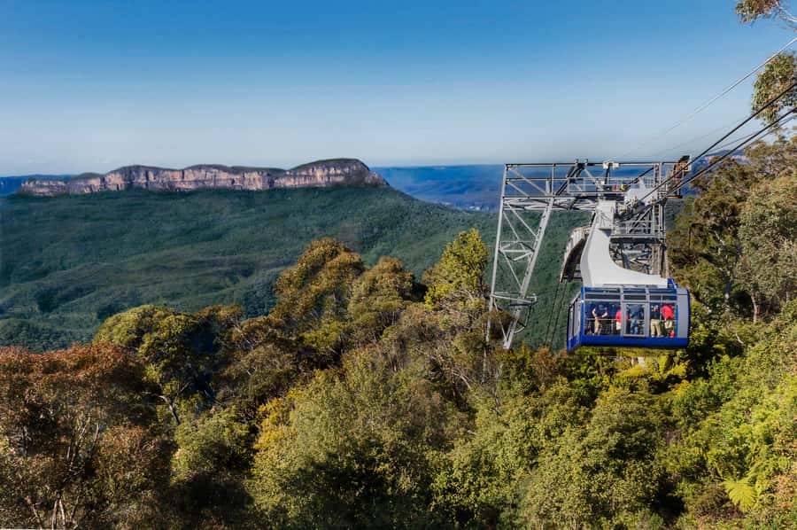 From Sydney: Blue Mountains, Scenic World, Zoo, & Ferry Ride - Group Size and Guide Style Matter More Than You Think