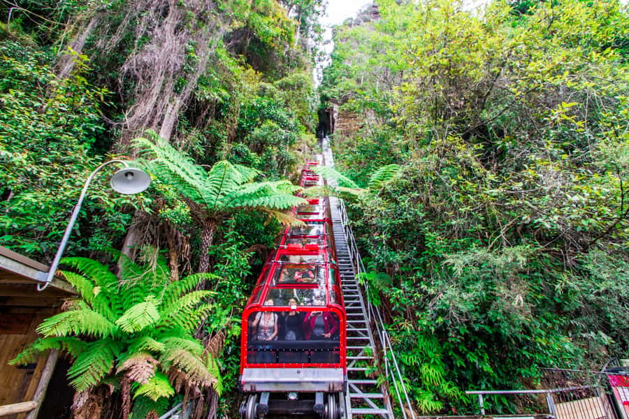 From Sydney: Blue Mountains, Scenic World, Zoo, & Ferry Ride - Morning Pickup and Getting to Echo Point Early