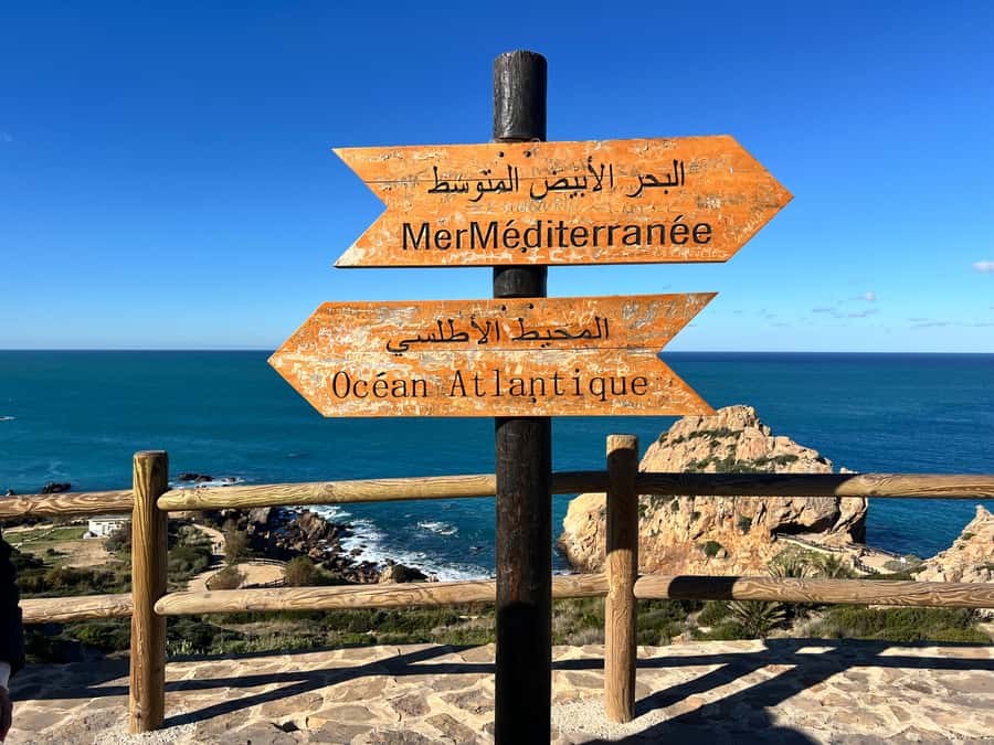From Tarifa: Tangier Day Trip with Lunch and Ferry - The ferry rhythm and timing you should respect