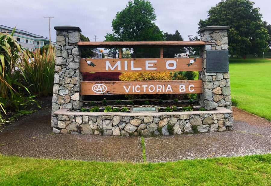 From Vancouver: Full-Day Victoria Tour with Ferry Ticket - The BC ferry ride: views, dolphins, and what to watch for