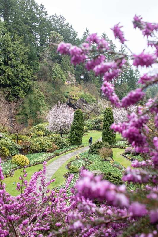 From Vancouver: Victoria, BC Ferry, Butchart Gardens Tour - Transportation, pacing, and what to pack for an 11-hour loop