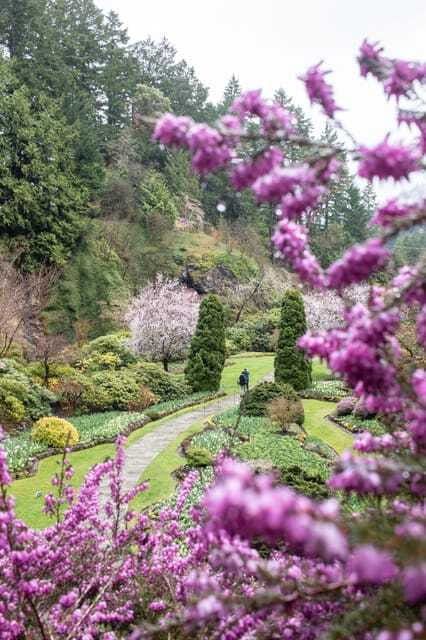 From Vancouver: Victoria, BC Ferry, Butchart Gardens Tour - Should you book this ferry + Butchart Gardens day trip?
