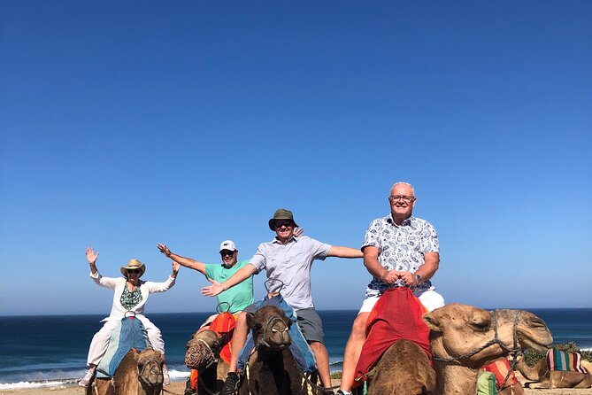 Full day Tangier Tour from Cruise or ferry from tarifa - Camel ride: fun factor, plus one real safety tip
