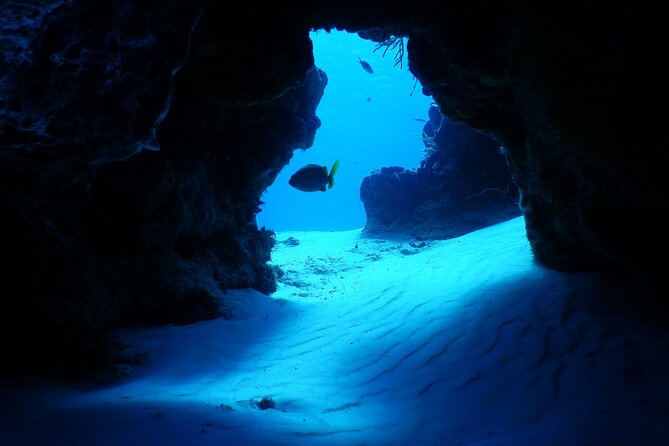 FunDiving in Cozumel - By Ferry - 2 Tanks in the wonderful Caribbean sea - Stop 1: Palancar Reef and why it’s a smart first site