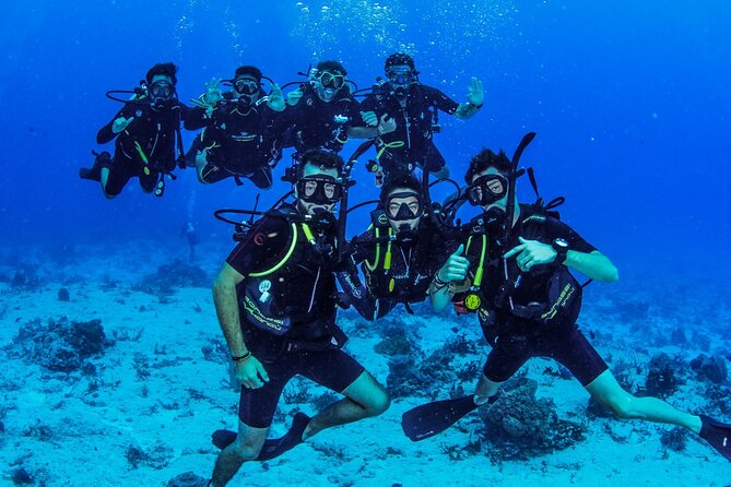 FunDiving in Cozumel - By Ferry - 2 Tanks in the wonderful Caribbean sea - Instructor quality and safety: how to get the briefing you need