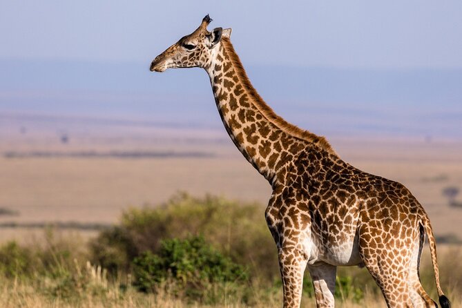 Gambia to Senegal Tour with Ferry Crossing and Safari Park - The 7:00 AM start and the ferry to Barra