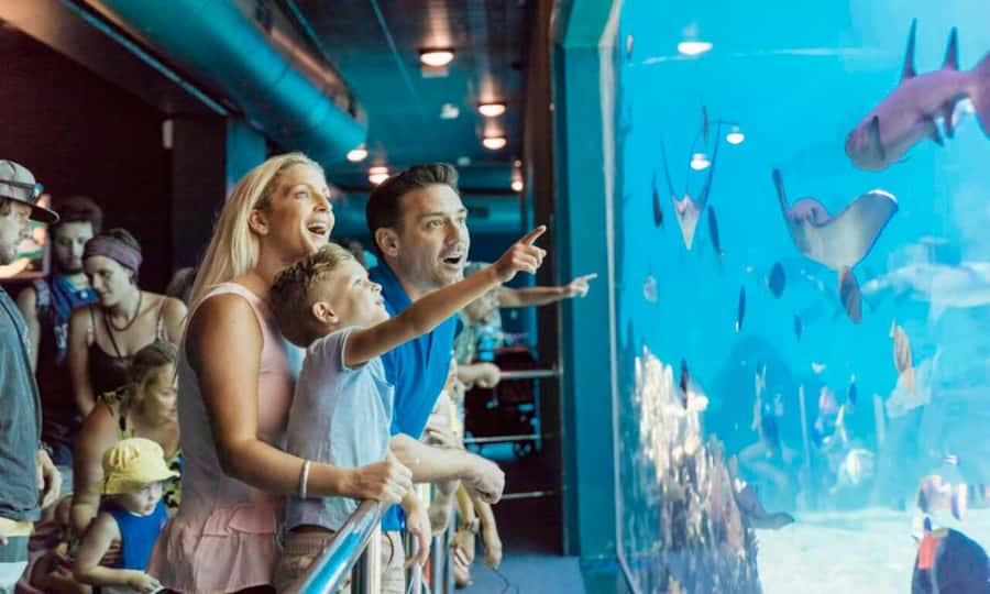 Gold Coast: Sea World Cruise & Entry Combo Ticket - Key takeaways before you go