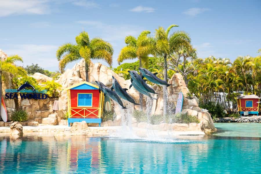Gold Coast: Sea World Cruise & Entry Combo Ticket - The New Atlantis rides: Leviathan, Trident, and Vortex