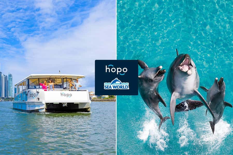 Gold Coast: Sea World Cruise & Entry Combo Ticket - The HOPO ferry: your Gold Coast warm-up