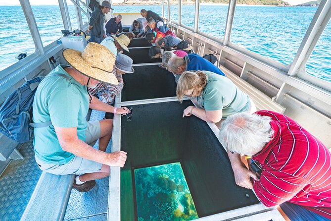 Great Keppel Island Glass Bottom Boat Tour & Ferry Transfer - Key reasons this Great Keppel tour works so well
