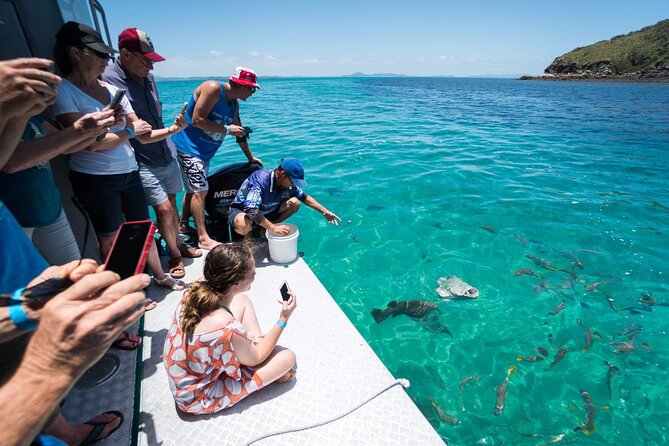 Great Keppel Island Glass Bottom Boat Tour & Ferry Transfer - Great Keppel and Yeppoon: a smart base for a reef day