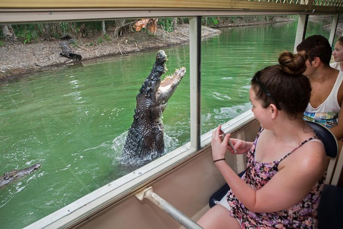 Great Keppel Island Glass Bottom Boat Tour & Ferry Transfer - Value for money: why $66.44 can make sense for this day plan