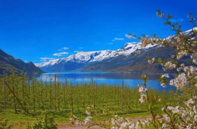 Guided tour: Hardangerfjord, Waterfalls and Ferry crossing - Trengereid to Mørkhølsfossen: quick stops that keep the pace friendly