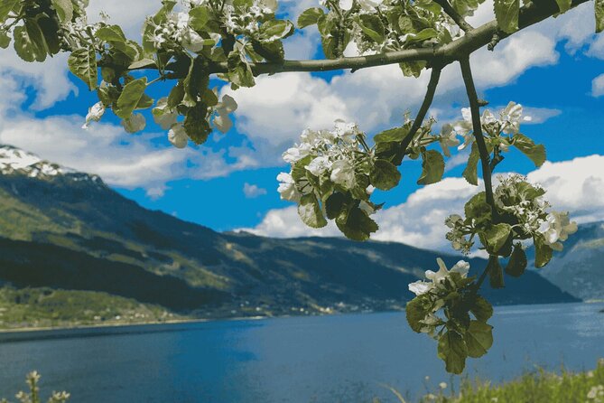 Guided tour to Hardangerfjord with Waterfalls and Ferry Crossing - Steinsdalsfossen: the waterfall stop you’ll remember