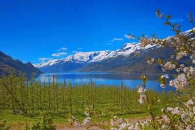 Guided tour to Hardangerfjord with Waterfalls and Ferry Crossing - Mørkhølsfossen and Fossen Bratte: small falls, big atmosphere