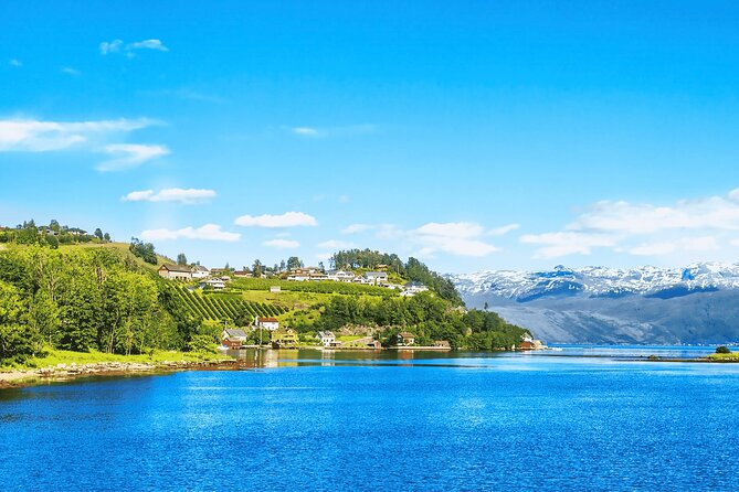 Guided tour to Hardangerfjord with Waterfalls and Ferry Crossing - Following road 550: orchards, bends, and why this drive matters