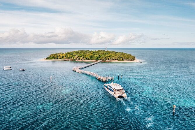 Half Day Morning Adventure - Fitzroy Island Return Ferry Included - Timing and ride planning: make the half-day work for you