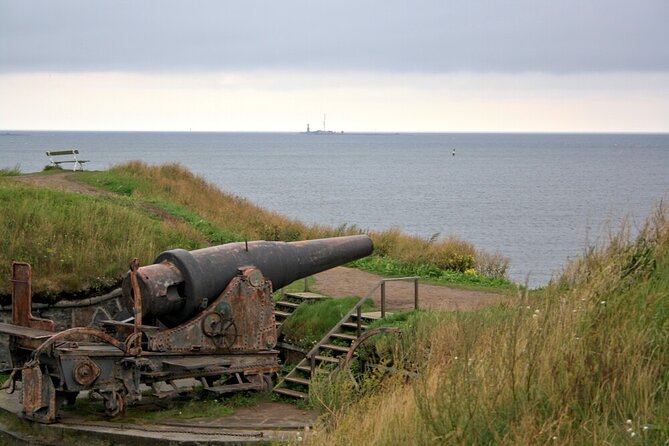Helsinki & Suomenlinna: City Highlights Tour with Ferry Ride - Olympic Stadium: Sports as a Lens on Finland