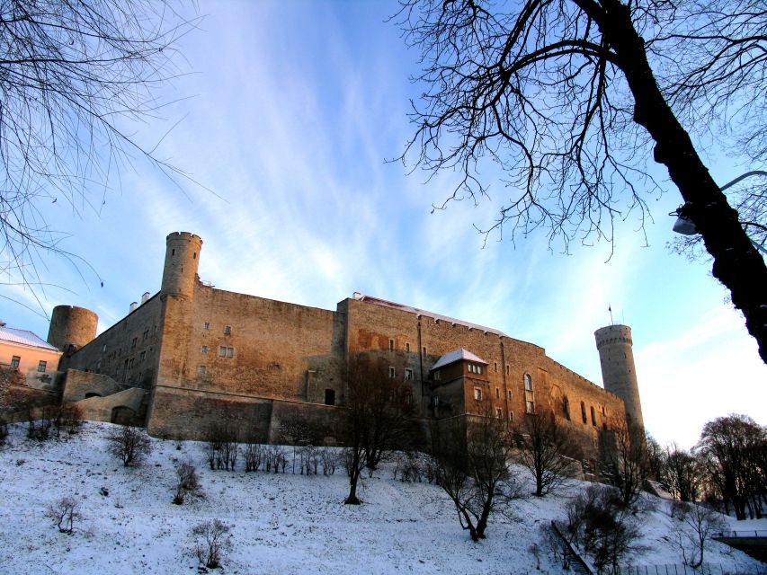 Helsinki: Tallinn Guided Day Tour with Ferry Crossing - Using Your Free Time: Lunch, Souvenirs, and Easy Self-Guided Choices