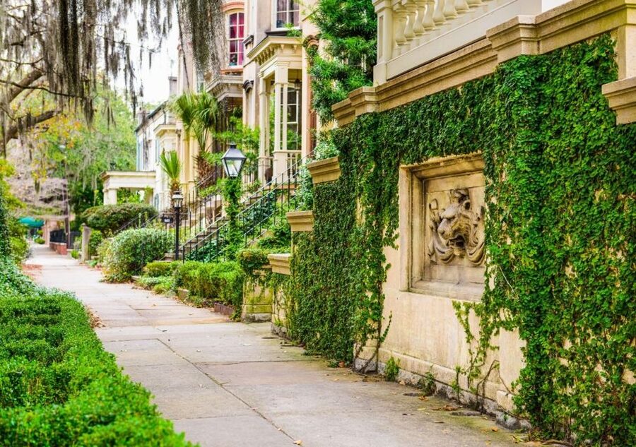 Hilton Head Island: Round-Trip Ferry Ticket to Savannah - River Street Right Away: What You Can Do in 4 Hours