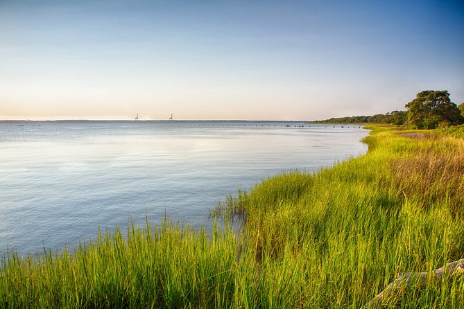 Hilton Head to Daufuskie Island Round-Trip Ferry Ticket - The Harbour Town ferry ride: short, scenic, and actually informative