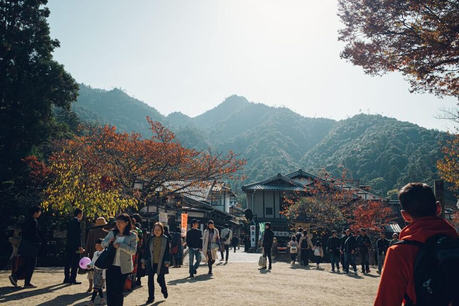Hiroshima to Miyajima: Private Custom Tour with Ferry Ride - Price and Value: What $293 Covers, and What You May Pay Extra