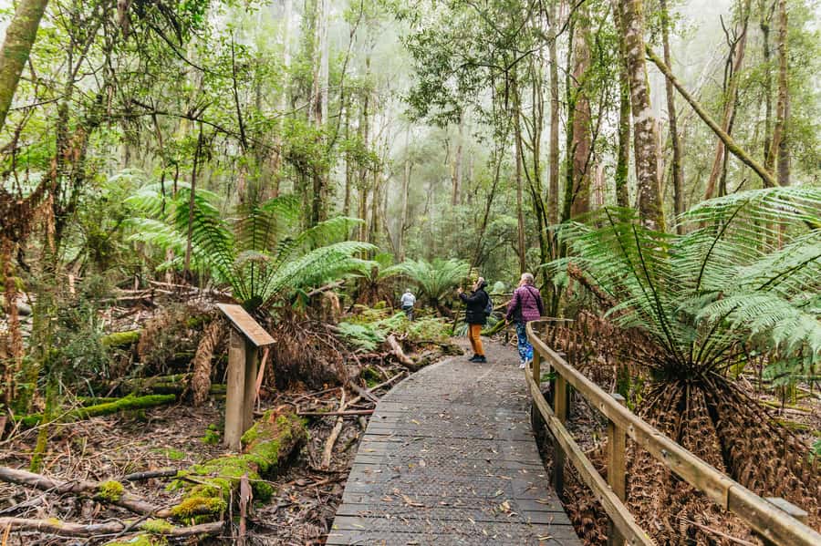 Hobart: Mt Wellington, Mt Field, Bonorong and Richmond Trip - Price and Value: Why $126 Works for a 9-Hour Hobart Hit