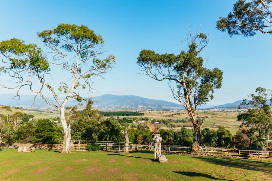 Hobart: Mt Wellington, Mt Field, Bonorong and Richmond Trip - Who This Tour Is For (and Who Might Want Something Else)